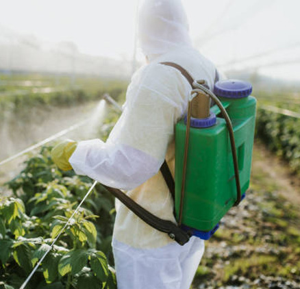 insumos agroquimicos rejol